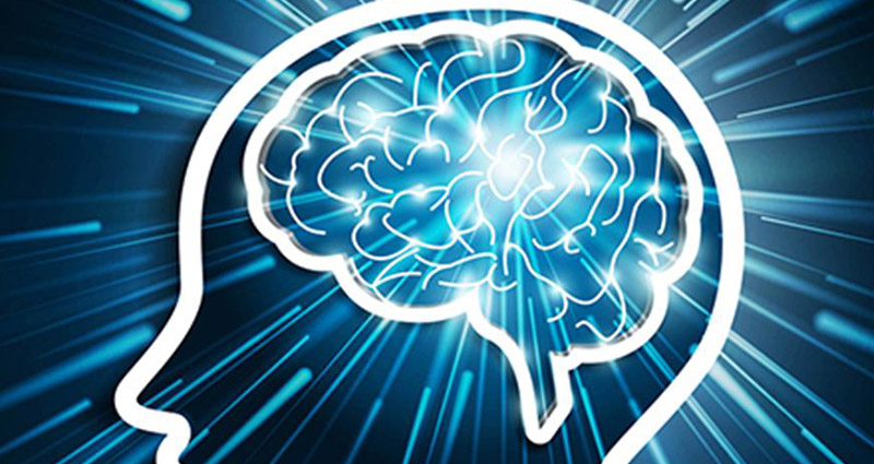 brainpower